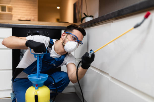 Best Wildlife Control Services  in Rainbow City, AL