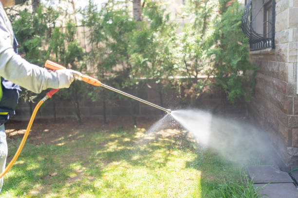 Best Wasp Removal Services  in Rainbow City, AL
