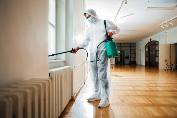Best Pest Prevention Services  in Rainbow City, AL