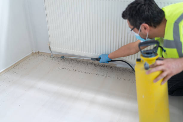 Best Best Pest Control Companies  in Rainbow City, AL